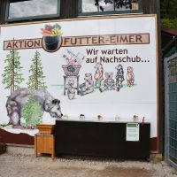 Alternativer Wolf Und Baerenpark Aktion Futtereimertald