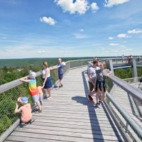 Baumwipfelpfad Turm Sommer@eak