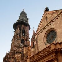Tagesausflug Freiburg Muenster