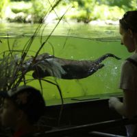 Naturoparc Natur  Und Tierpark Otter