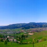 Mountainbike Tour Gengenbach Panoramablick Gengenbach Weinreben