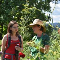 Blumen Kraeuter Fotos Hoefenhof Blumengarten