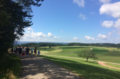 Vom Moosenmaettle Ueber Die Schondelhoehe