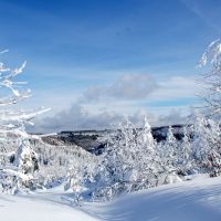 Winterzauber Kniebis Schwarzwald Schnee Winter