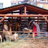 Weihnachten Elsass Krippe Schafe