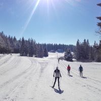 Wer ist der Held an diesem Wintertag? Furtwangen, Langlauf Hochschwarzwald