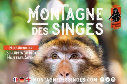 Montagne Des Singes Anzeige 2025