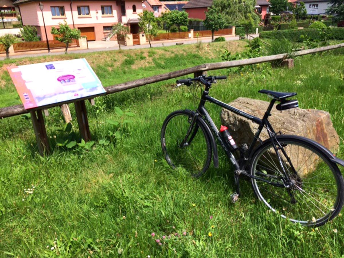 Radtour Von Scherwiller Ins Val D Argent Fahrrad