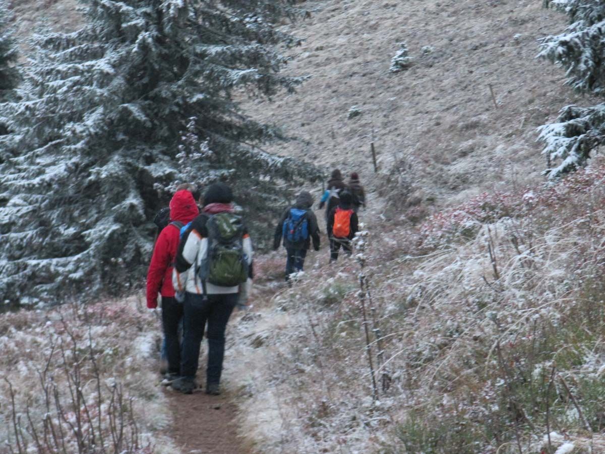 Feldbergtour Im Schneegestoeber Abstieg