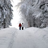 Winterzauber Kniebis Spaziergang