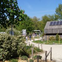 Vaisseau Strasbourg 11