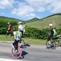 Mit Dem Fahrrad Unterwegs Einradfahrer Weinstrasse