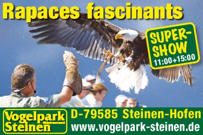 Vogelpark Steinen 2022