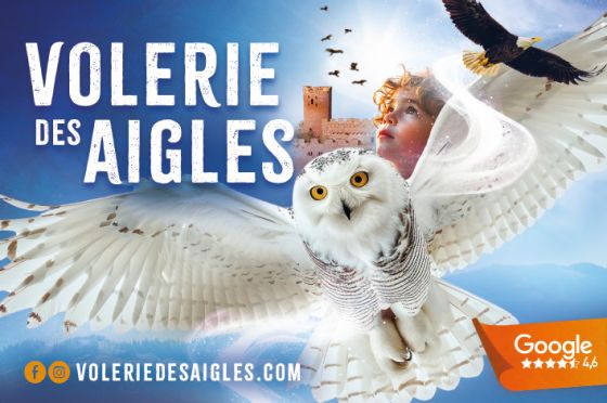 Volerie Des Aigles 2025