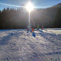 Wintersport Im Schwarzwald Skirennen