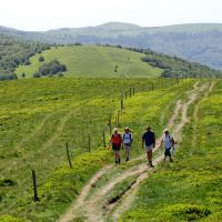 Familienurlaub Hochvogesen Wanderergruppe