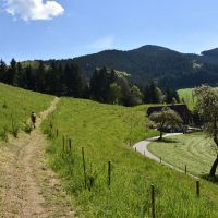 Guck A Mol Wegle Oberwolfach 4