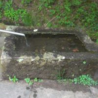 Teisenkopf Schenkenzell Kohlbrunnen