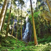 Wolftal Burgbachbachwasserfall