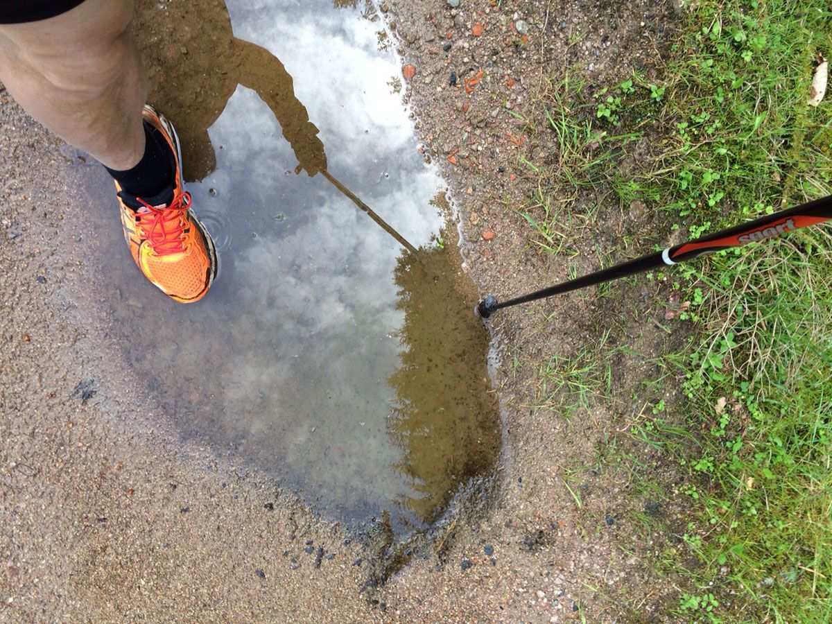 Nordic Walking Kirnbach Feldweg