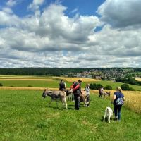 Esel Wanderung (5)