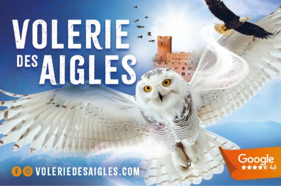 Volerie Des Aigles 2026