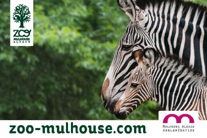 Zoo Mulhouse 2022