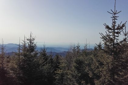 Hallo Fruehling Lotharpfad Mummelsee 04