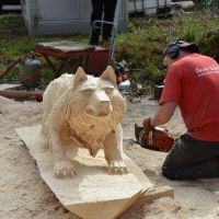 Alternativer Wolf Und Baerenpark Bissige Saege Nicht Bissiger Wolf