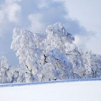 Winterzauber Kniebis Schnee Kleid