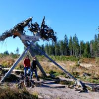 Nationalparkregion Schwarzwald Lotharpfad Eingang