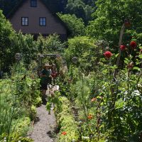 Blumen Kraeuter Fotos Hoefenhof  Bauerngarten