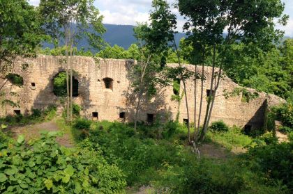 Alte Gemaeuer Elsass Pflixburg Mauer