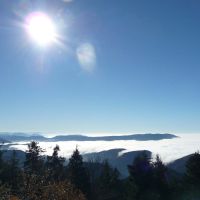 Sonniges Schaumbad Westweg Schwarzwaldjpg