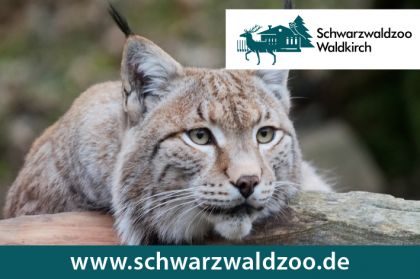 Schwarzwaldzoo Waldkirch 2026