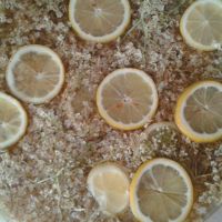 Holundersirup Holunderblueten Eingelegt Nach 3 Tagen