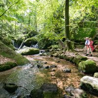 Buehlertal 20170822 Gertelsbach Cs 00934