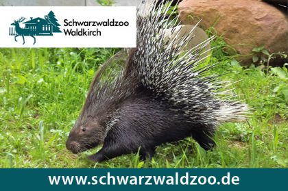 Schwarzwaldzoo Waldkirch 2022