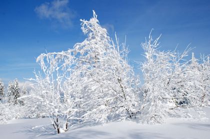 Winterzauber Kniebis Freudenstadt