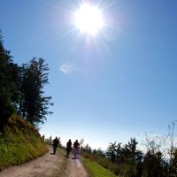 Wandern Schwarzwald Westweg Jogger