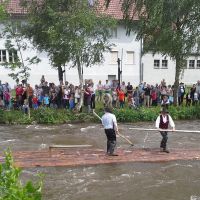 Flosshafenfest  Wolfach 2