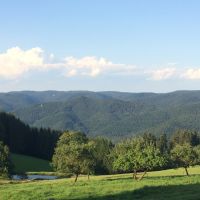 Einkehrtipp-Vesperstube-Schanzenberg Ausblick 2