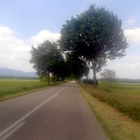 Rennrad Tour Schwarzwald Elsass Strasse