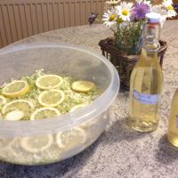 Holundersirup Eingelegte Holunderblueten