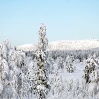Winterzauber Alexanderschanze