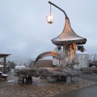 Feldbergtour Im Schneegestoeber Brunnen Baldenweger Huette