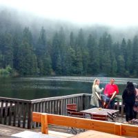 Fidelius Waldvogel Mystischer Mummelsee