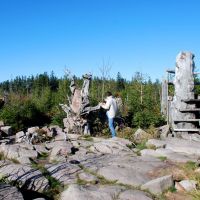 Nationalparkregion Schwarzwald Lotharpfad Herbst