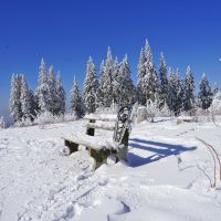 Der letzte Wintertag: Furtwangen, Schneeschuh, Bank, Brend