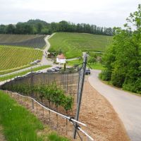 Durbach Wanderung Weinreben Kapelle